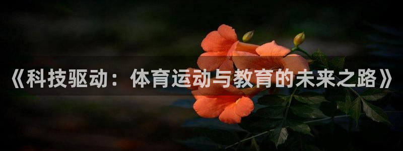 杏悦体育注册