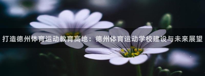 德国杏悦集团