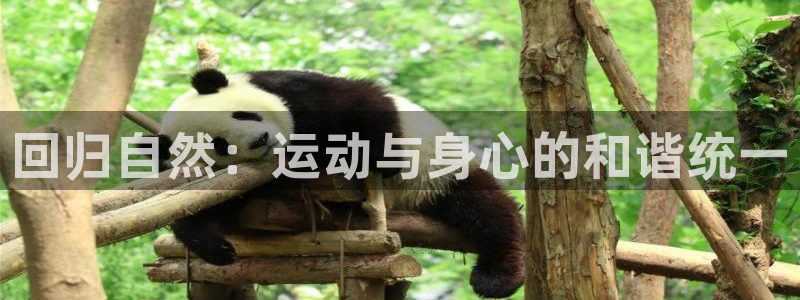 意昂平台注册