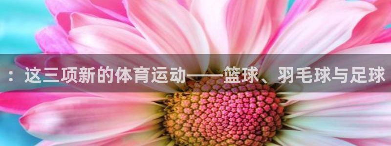 杏悦kgame