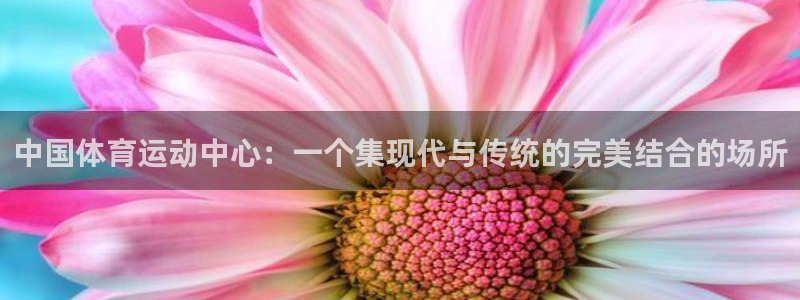 杏悦体育合法嘛