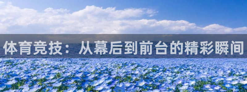 杏悦平台招商