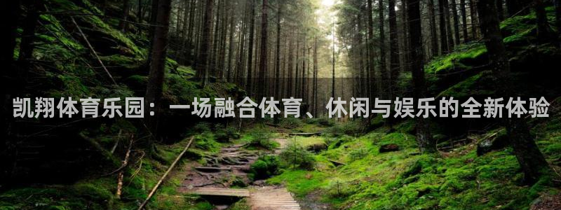 杏悦体育代理申请流程
