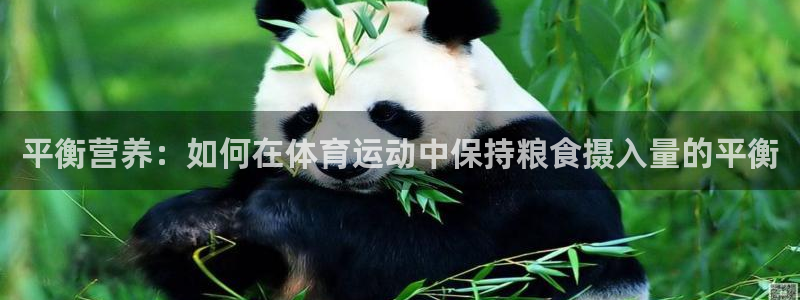 上海杏悦汽车电子有限公司