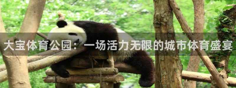 杏悦代理注册